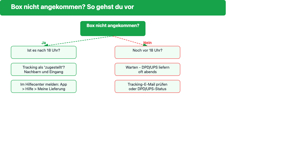 Entscheidungsbaum: Box nicht angekommen – Schritt-für-Schritt Anleitung was zu tun ist